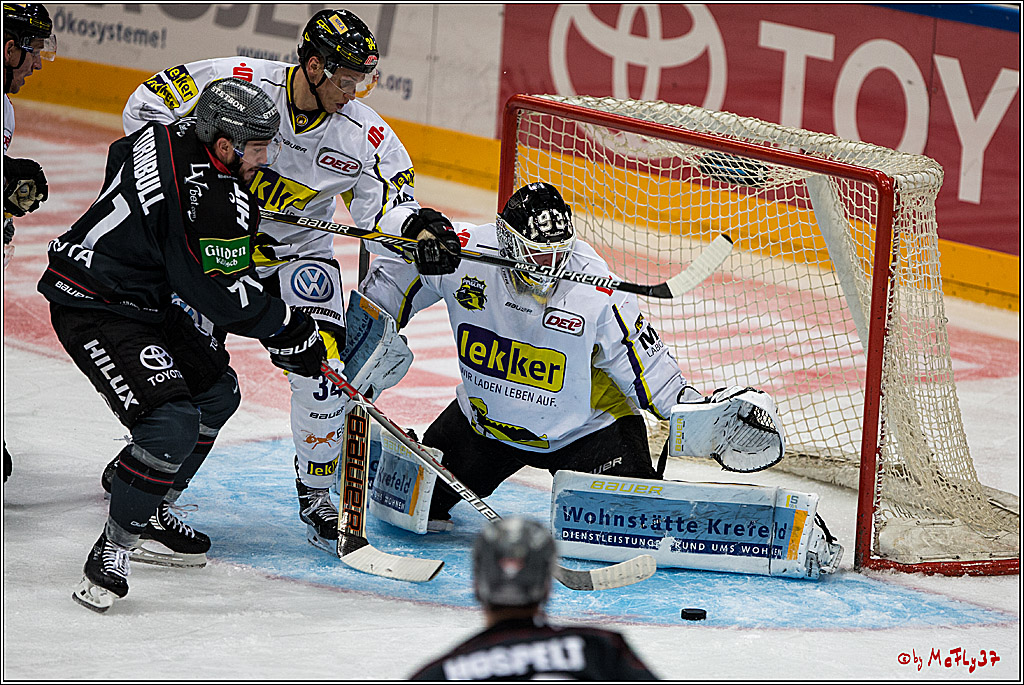 Koelner Haie - Krefeld Pinguine , 23.09.16(KW38)